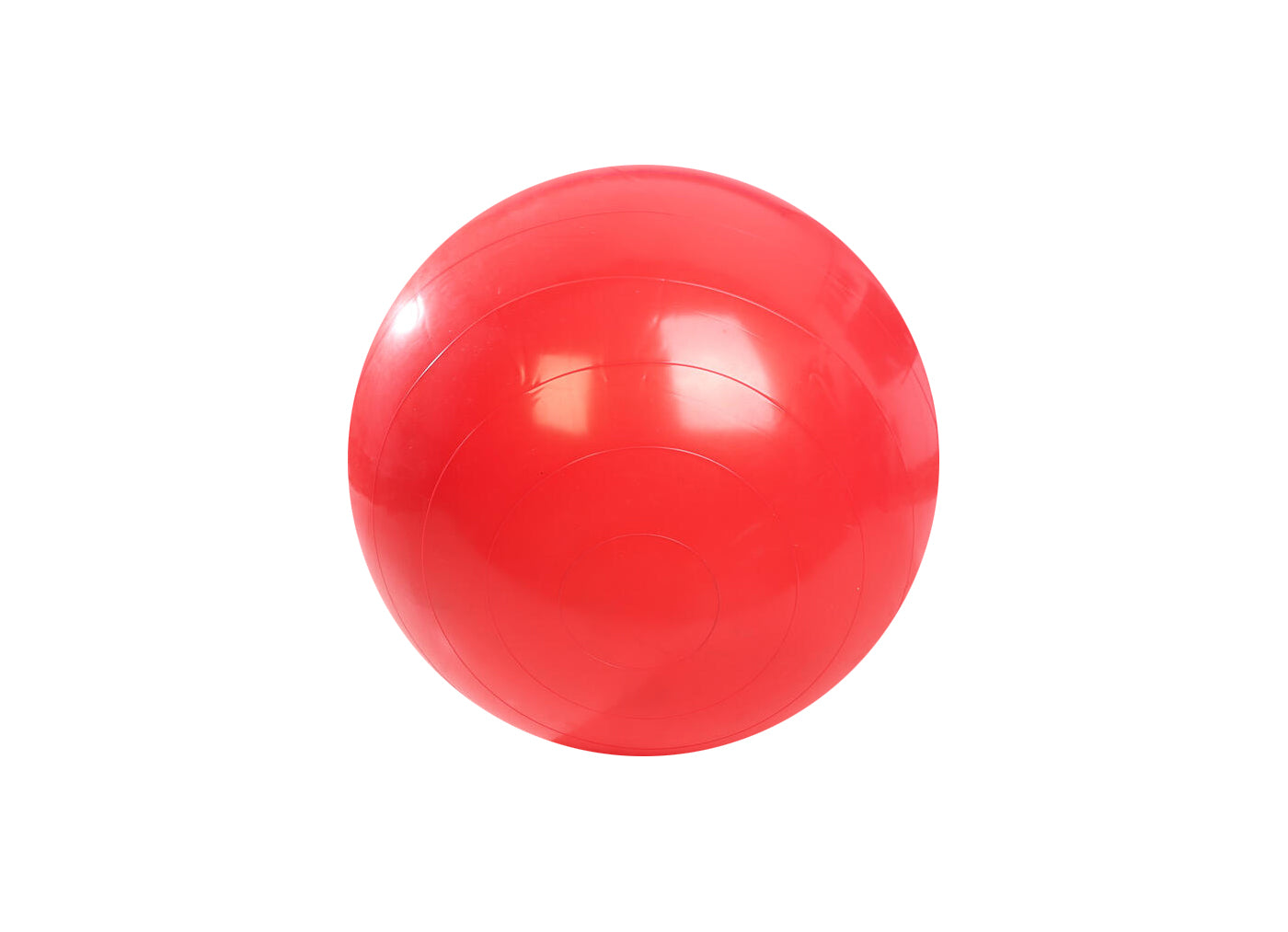 PELOTA DE ESFERODINAMIA S/ INFLADOR 55CM - D-PE-55N
