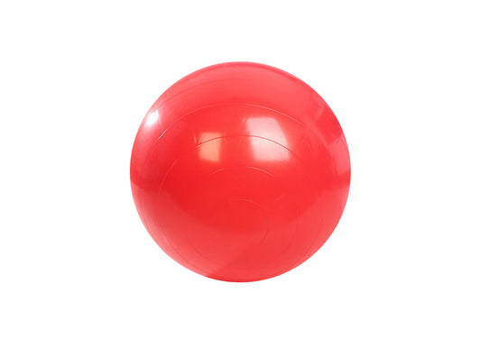 PELOTA DE ESFERODINAMIA S/ INFLADOR 55CM - D-PE-55N